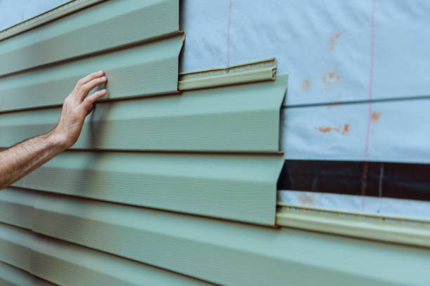 Best Insulated Siding Installation  in The Meadows, FL